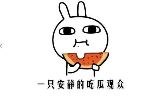 吃瓜群众 啥意思