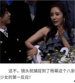 明星娱乐吃瓜八卦视频,明星幕后故事大曝光！