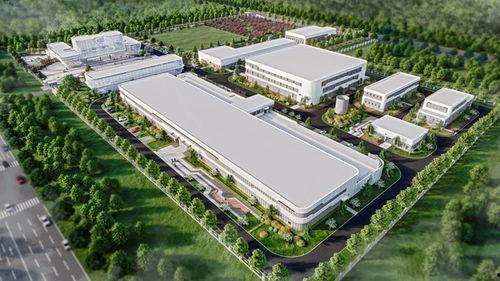 吃瓜影视娱乐有哪些项目