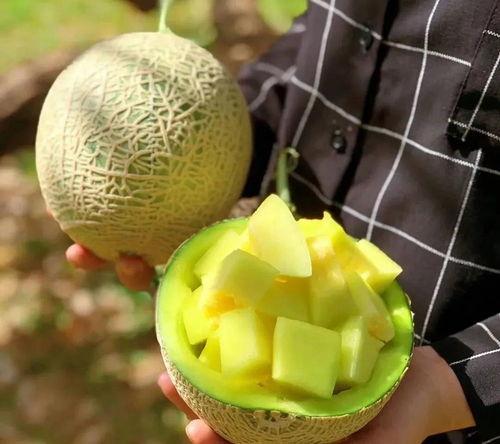 娱乐圈吃瓜干货,那些你不知道的幕后故事